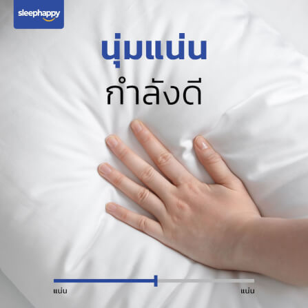 หมอนหนุน SLEEPHAPPY POLYESTER PILLOW 800 กรัม_2